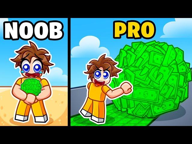 I Went NOOB to PRO in Roblox Money Ball Simulator!