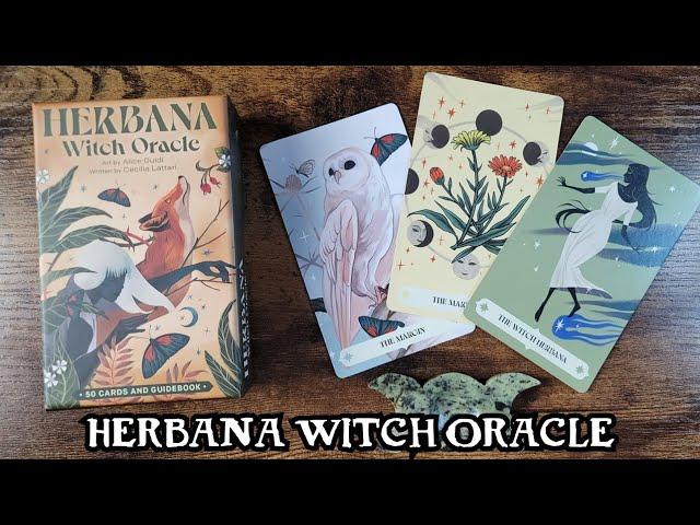 Herbana Witch Oracle