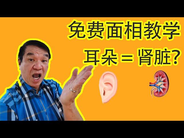 【面相算命】免费面相教学 - 耳朵篇