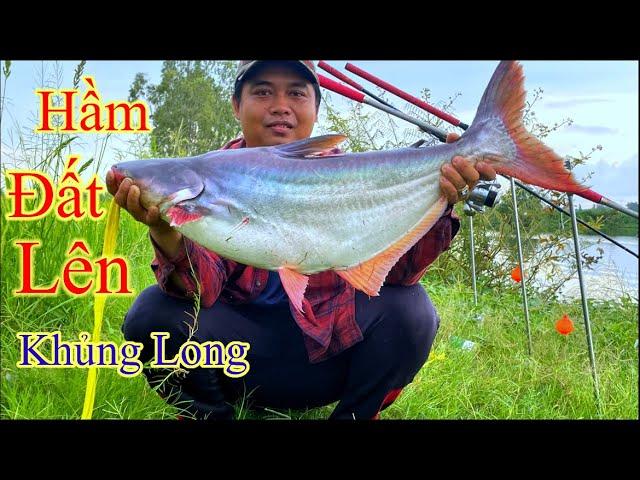 Đụng Hàng Khủng Hầm Đất Kéo Bay Cần Xuống Hầm#fishing