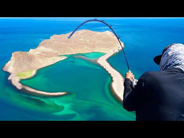 Could this be the BEST fishing in the WORLD?? [Tony Reyes Sea of Cortez]