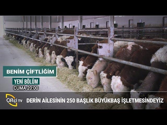 Büyükbaş Hayvan İşletmesindeyiz - BENİM ÇİFTLİĞİM