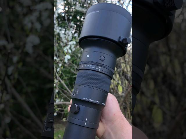 Sigma 500mm f5.6 DG DN OS Sport #lens #photography