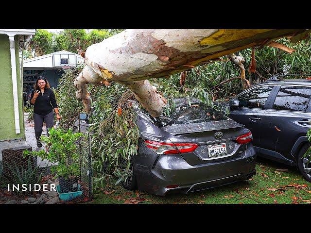 Videos Show Damage As Tropical Storm Hilary Slams Into Southern California | Insider News