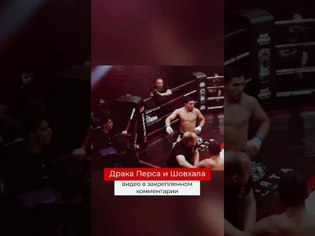 Подрались пока дрались #popmma #mma #бои #заруба #бокс #суета #марифпираев #перс #шовхал #тамаев