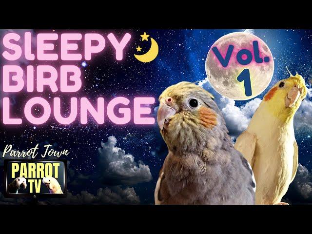 Sleepy Birb Lounge [Vol. 1] Calm Piano Music for Birds | Parrot Music TV for Your Bird Room