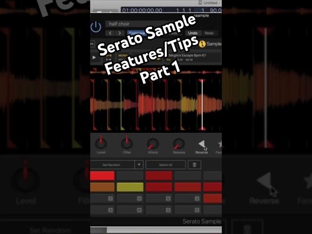 Serato Sample Features/Tips Part 1 #seratosample #sampling #sampler #tips #reverse