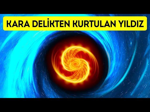 Kara Delikten Kaçarak Hayatta Kaldığını Bildiğimiz Tek Şey