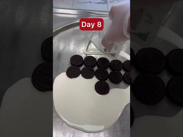 24 days of Oreo series compilation