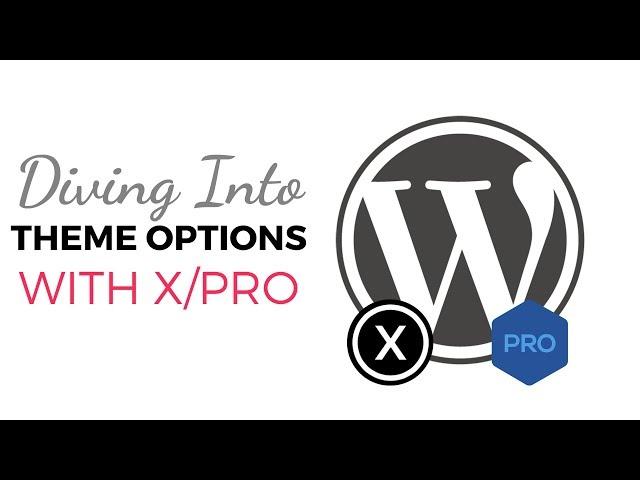 WordPress Beginner Tutorials - Diving into the Theme Options with Pro