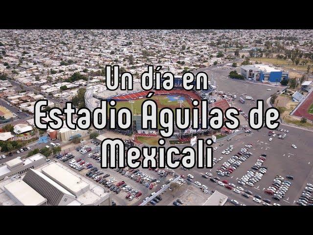 Los Águilas de Mexicali y su nido fronterizo