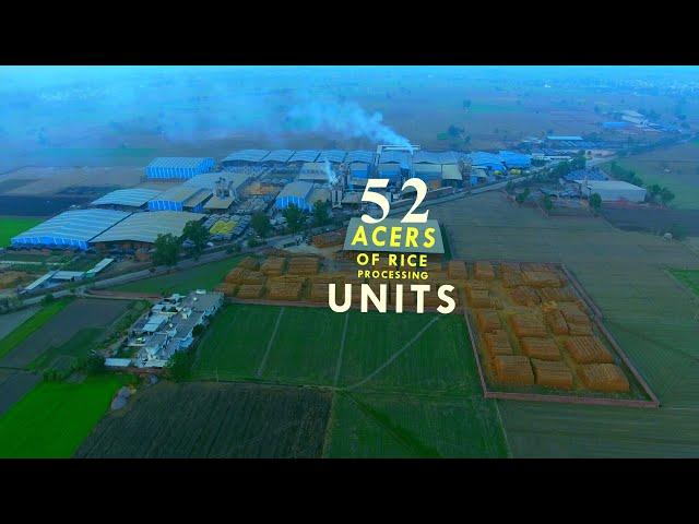 India's Biggest#Basmati Rice Factory | TLG Agro Traders Rice Mill Unit | Rice Processing & Exporting