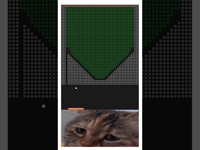 Hardest Level Ever #shorts #cat #meow