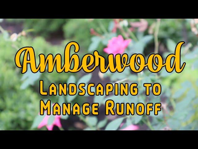 Amberwood - Landscaping to Manage Runoff