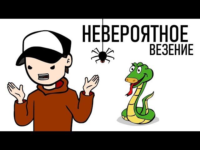 Ситуации Когда Повезло (анимация)