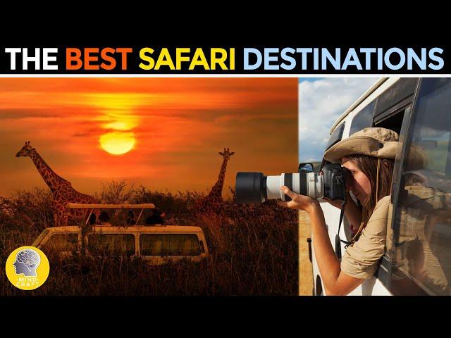 BEST SAFARI DESTINATIONS!