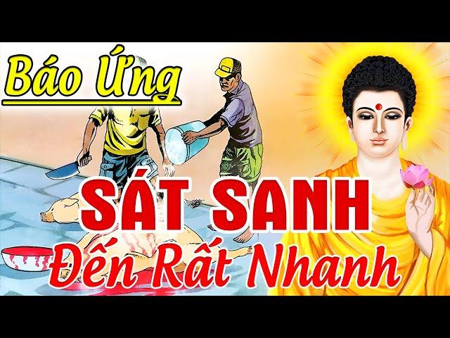 10 Chuyện Nhân Quả Báo Ứng Hay Nhất, SÁT SANH HẠI MẠNG Quả Báo Đến Rất Nhanh _ Kể Truyện Đêm Khuya