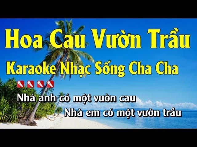 Hoa Cau Vườn Trầu Karaoke Nhạc Sống Hay Nhất - Tone Nam