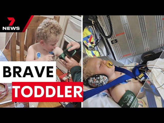 Adelaide toddler survives snake bite after alerting shocked mother | 7NEWS