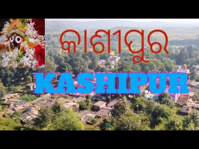 kashipur ll କାଶୀପୁର ll kashipur village ll କାଶୀପୁର ଗାଁ ll beautiful kashipur