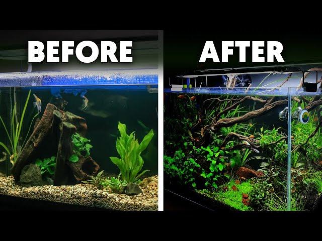 Aquascaping  9 Simple Techniques For Your First Planted Aquarium