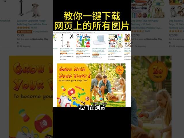 教你一键下载网页店铺里的所有图片 #跨境电商 #外贸 #亚马逊教学 #亚马逊卖家 #独立站