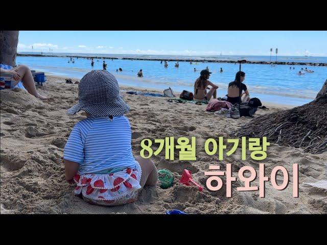 [미국 여행] 아기랑 오아후 5박 6일. 예쁜 해변 다 가보기. 원정육아