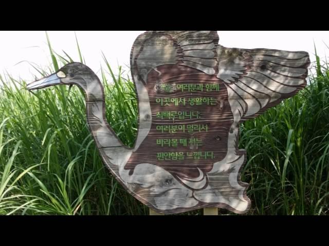 50 한강물길6 - 중랑천길 Jungrang Stream Road