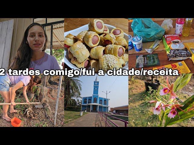 Fui a cidade/supermercado/tardes comigo/enroladinho de salsicha/colhi açafrão