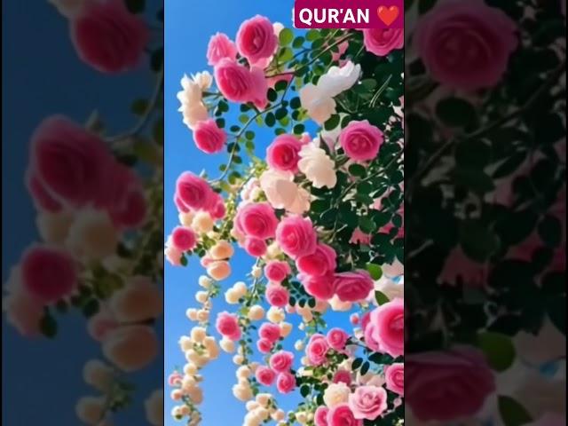 Surah Un-Nisa urdu translation.. #shorts #shortsfeed #viralshorts  #ytshorts #tilawatequran #urdu