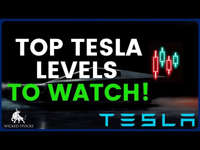 Tesla Stock Price Analysis | Top Levels To Watch for Tuesday, July 30th 2024