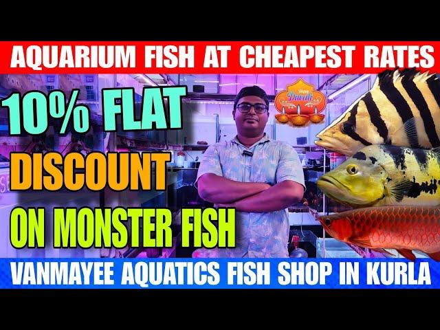 Golden Clown Knife | Peacock Bass | Black Berry Dollar | 10% Flat Discount On Monster Fish | Diwali