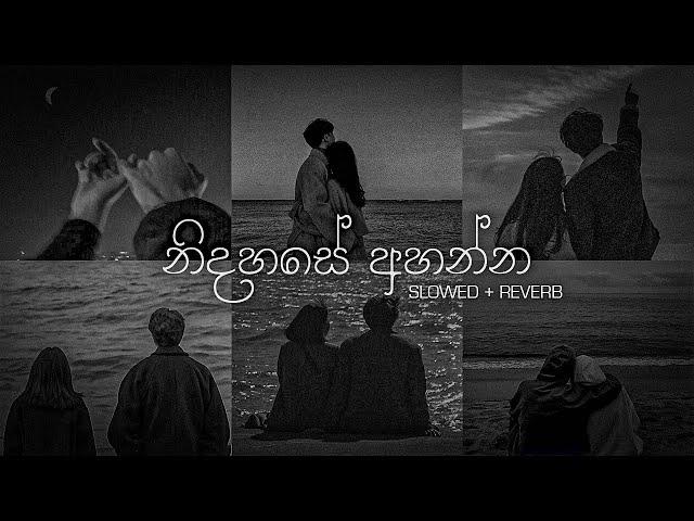 නිදහසේ අහන්න sinhala slowed + Reverb (Collections) | DEZTER BEATS