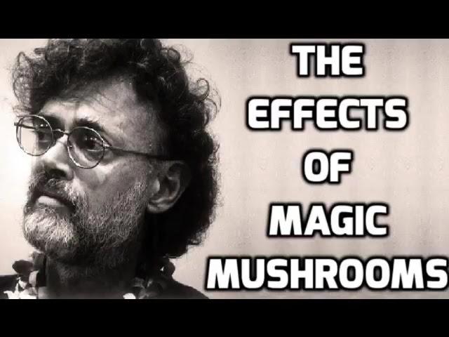 Terence McKenna - The Effects of Magic Mushrooms