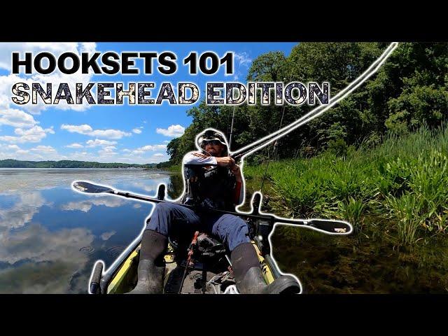 Hooksets 101: Snakehead Edition - 9 Tips to Increase Your Hookup Ratio While Frog Fishing Snakehead