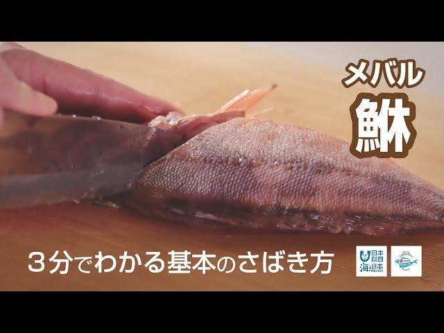 鮴（めばる）のさばき方 - How to filet Rockfish -｜日本さばけるプロジェクト（海と日本プロジェクト）