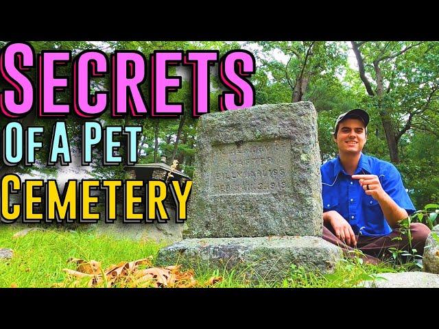 "More Than A Cat" -- Secrets of Pine Ridge Pet Cemetery