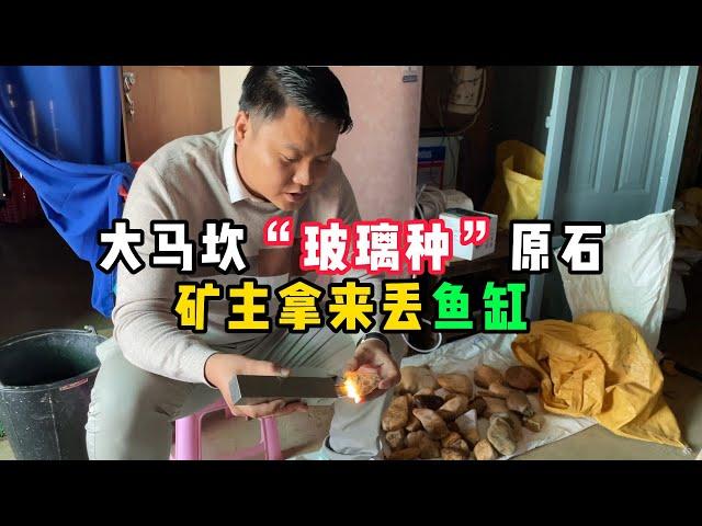 大马坎“玻璃种”原石！矿主拿来丢鱼缸！—— | 缅邦矿业强总 | 缅甸翡翠矿区 | 翡翠源头 | 赌石 | 翡翠原石 | 缅甸宝石矿 | 缅甸金矿