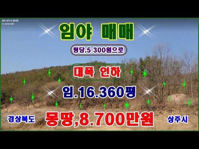 물번,566번)  급매,임야 대폭인하 16.360평 몽땅,8.700만원입니다, 105평 답 생산관리지역,포함, 평당,5.300원으로 대폭 인하하였습니다,시멘트포장도로 접,전기,