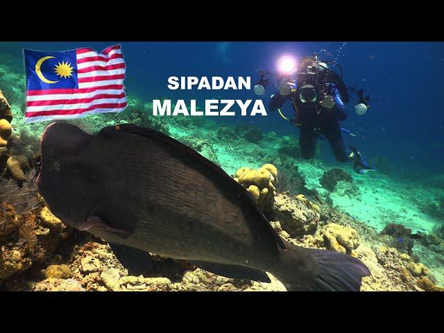 Sipadan MALEZYA