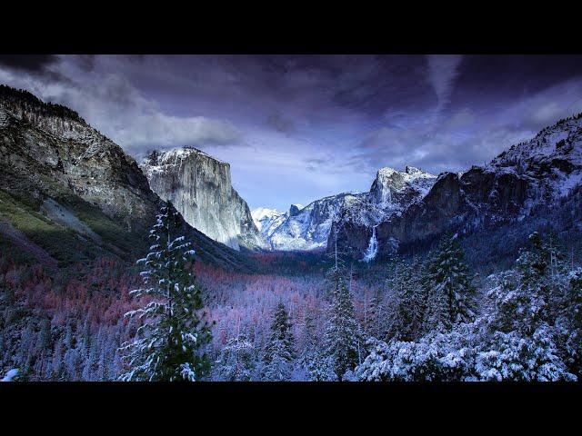 Windy Winter Storm in Yosemite | Wind Snow Snowstorm Sounds | Howling White Noise Ambience | 12 Hrs