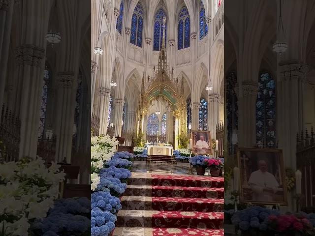 Pope Francis #pope #christian #church #religion #travel #love #music #beautiful