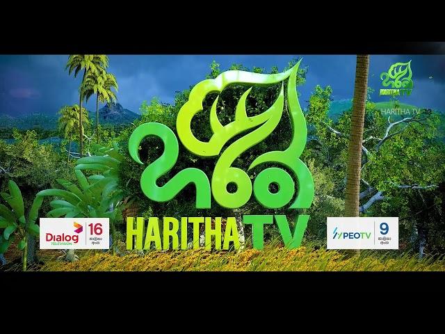 Haritha TV program