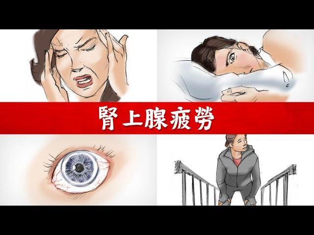 腎上腺疲勞與高壓力?自我測試7種方法,柏格醫生 Dr Berg