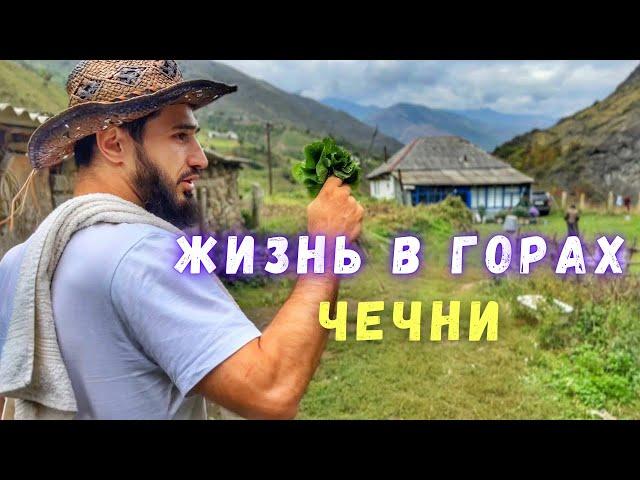 Жизнь в горах Чечни и в Городе. В чем отличие?