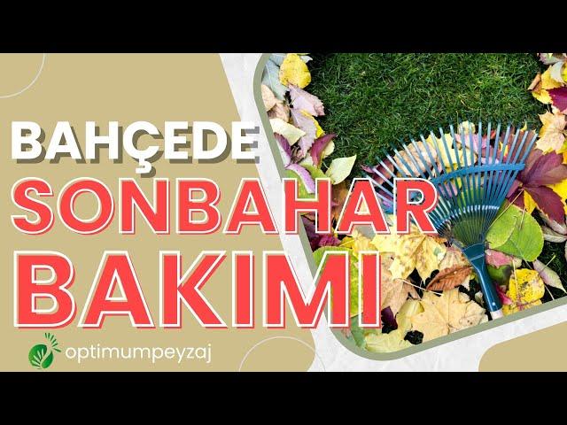 SONBAHAR BAHÇE BAKIMIMI NASIL YAPABİLİRİM? SONBAHARDA BAHÇE BAKIMI NASIL YAPILIR?