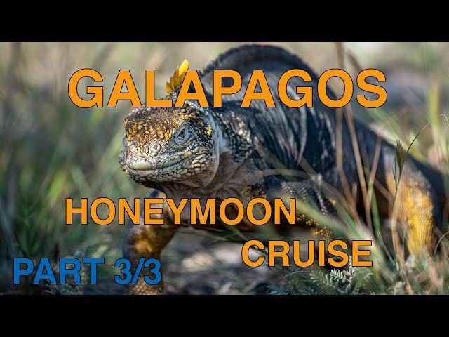 Galápagos Honeymoon: South Plaza, Santa Fé, Punta Pitt, San Cristóbal, Puerto Baquerizo (Part 3/3)