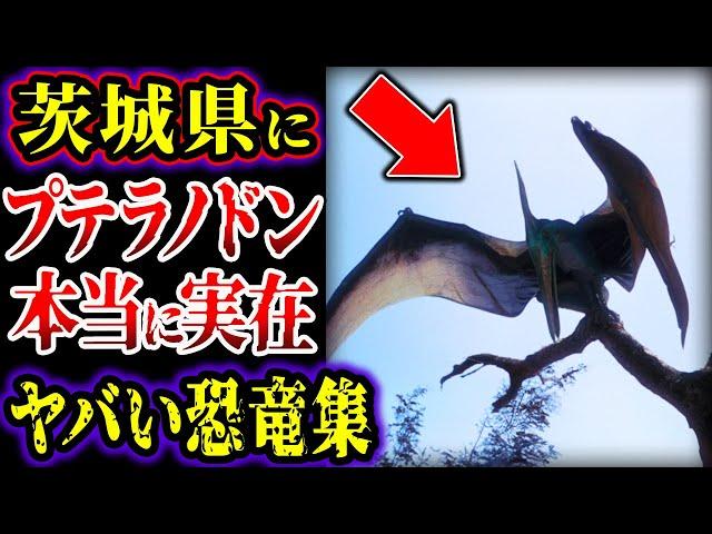 【ゆっくり解説】「やはり生きていた...」日本の茨城県にプテラノドンが実在！？…目撃者が見た翼竜の正体とは…世界各地で目撃された恐竜の生き残り集【古代生物】【総集編】