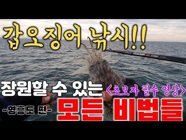 여러분의 갑오징어(쭈꾸미) 낚시 조과를 2~3배 높여주는 기본적인 것들!! -루키나호-