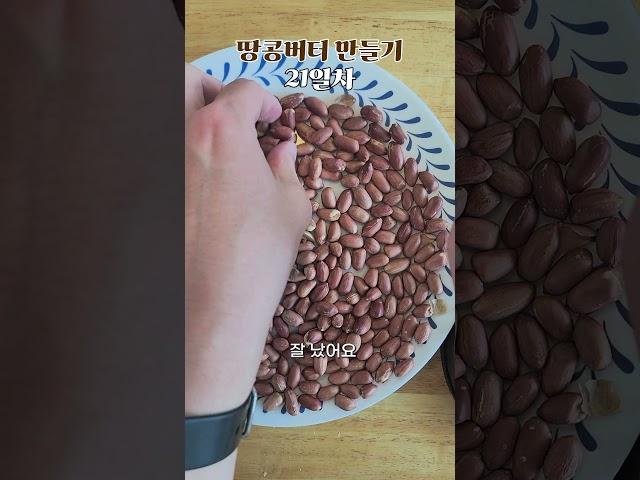 땅콩버터 만들기 21일차 : 오븐에서 구운 땅콩버터 만들기